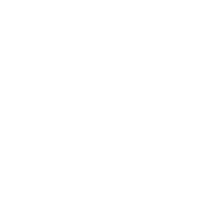 Grupo ICE
